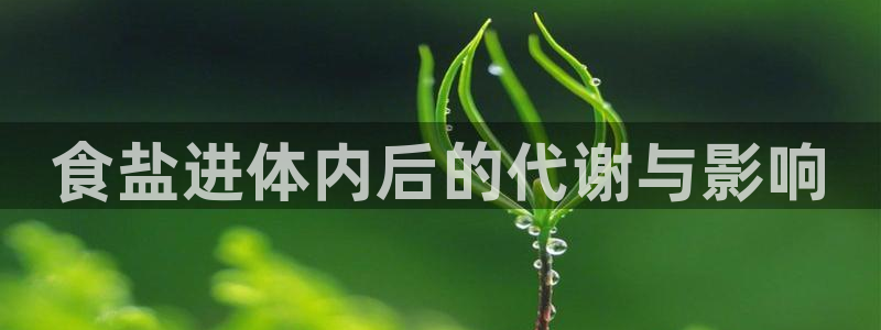 威九国际可以退钱吗怎么退款