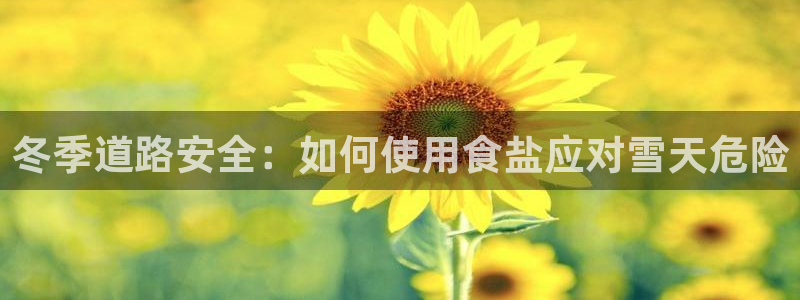 威九国际网站客服电话多少