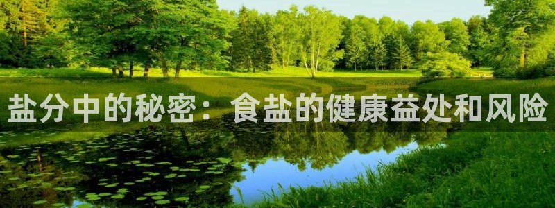威九国际在哪里