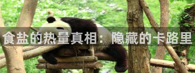 威九国际官网在线进入网站查询网址