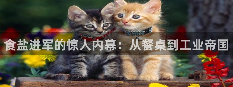 威九国际网站链接