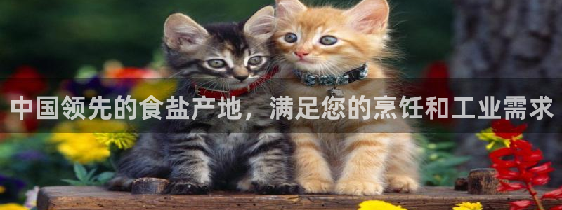 威九国际APP下载