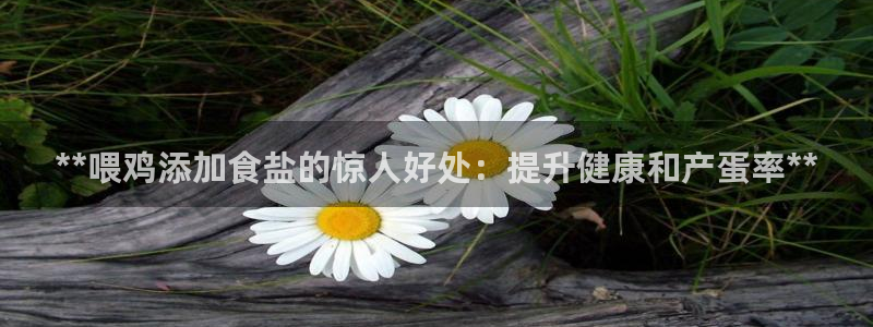 保定威九网络科技有限公司电话