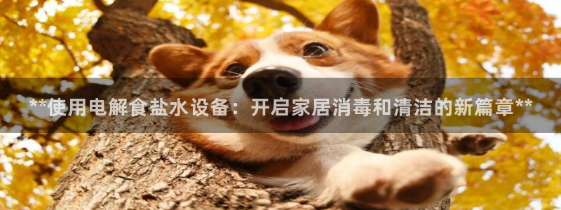 威九国际78mb官网
