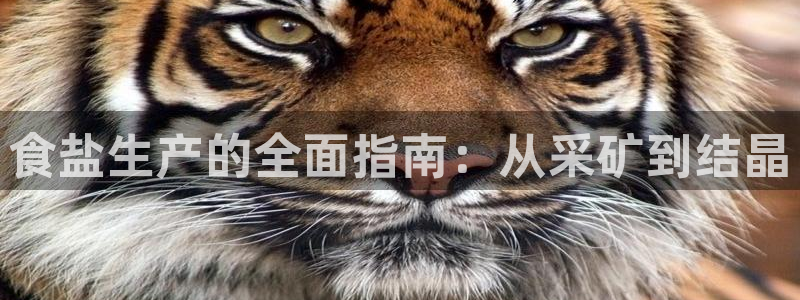 威九国际天美
