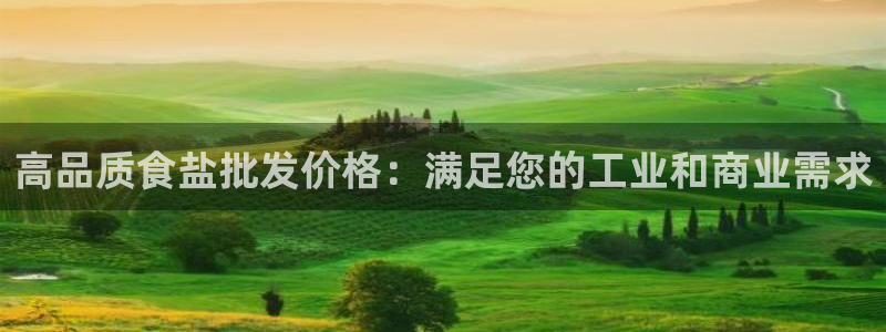 威九国际APP