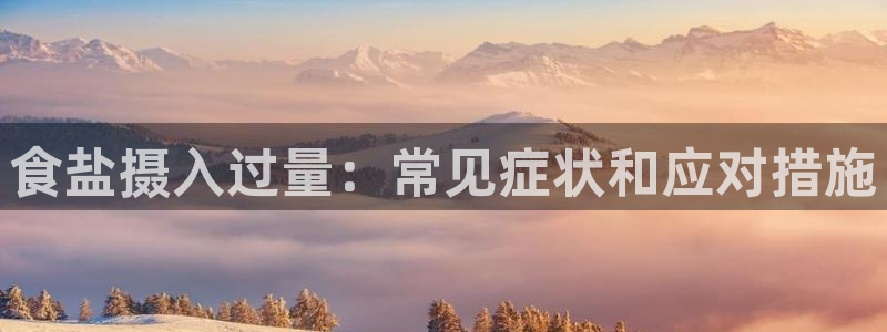 威九国际H