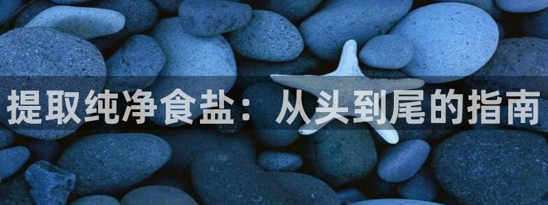 威九国际APP入口