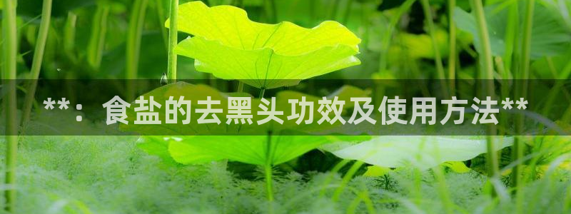威九国际演员2023年最新作品