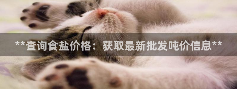 威九国际的金融服务怎么样