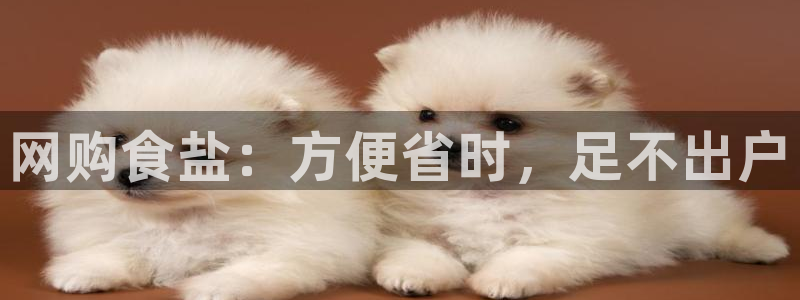 威九国际空降服务怎么样