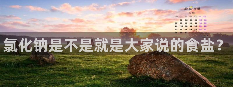 威九国际旗下艺人有谁