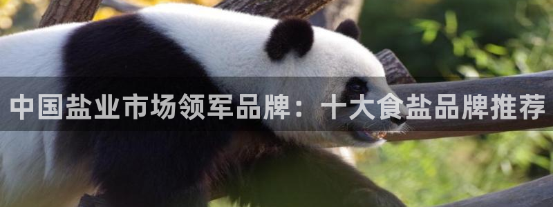 保定威九网络科技有限公司招聘