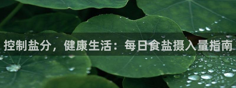 威九国际官方网站