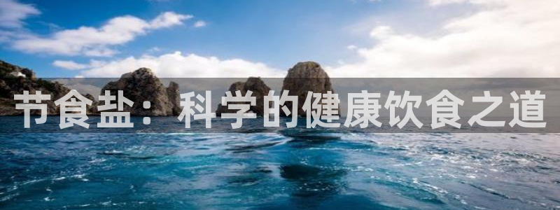 威九国际