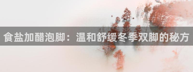 威九国际官网版