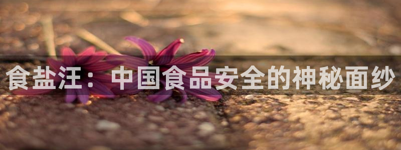 保定威九网络科技有限公司电话