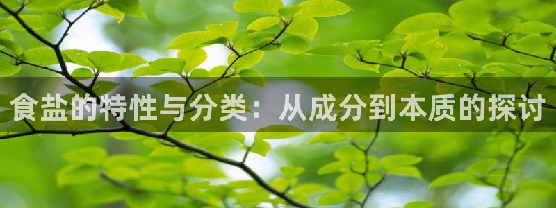威九国际66m入口