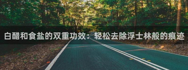 保定威九网络科技有限公司招聘