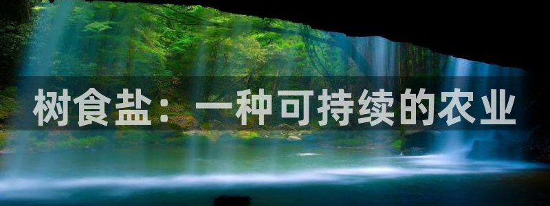威九国际免费ppt网址