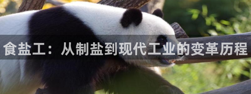 威九国际网站进入AB,AB：食盐工：从制盐到现代工业的变革历