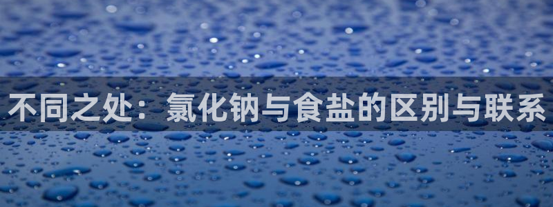 威九国际app网站官网