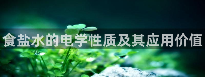 威九国际清砖码头怎么样