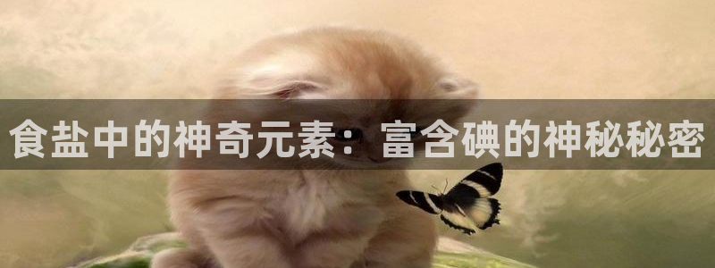 威九国际客服电话号码查询