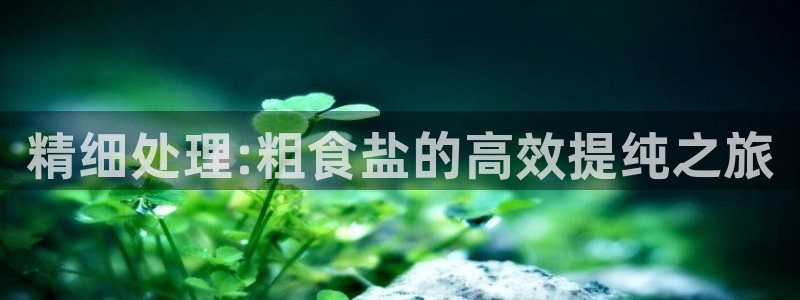威九国际精忐