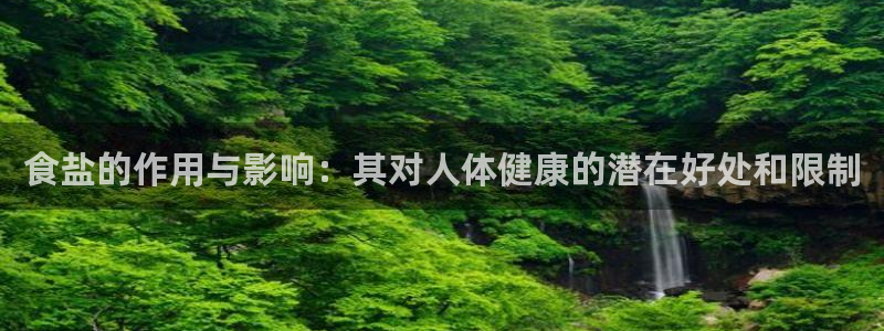 威九国际合作伙伴有哪些